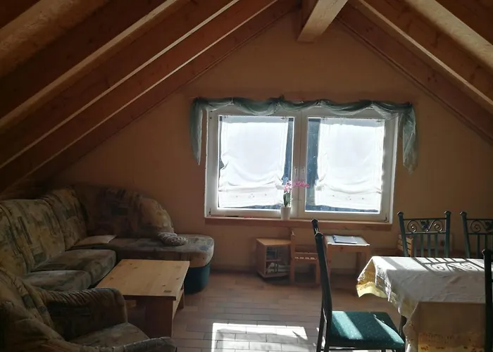 Apartment Erzgebirgsferienwohnung Tellerhauser